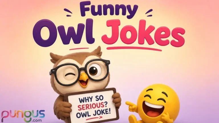 Owl jokes